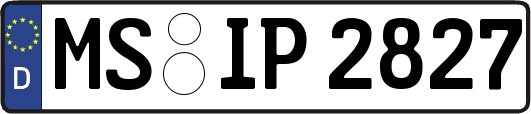 MS-IP2827