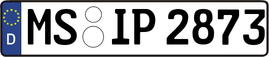 MS-IP2873