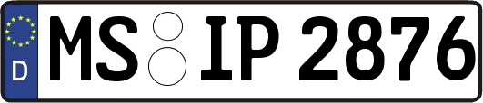 MS-IP2876