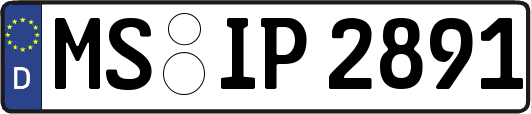 MS-IP2891