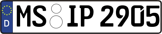 MS-IP2905