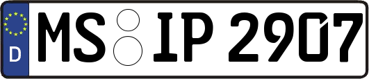MS-IP2907