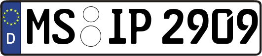 MS-IP2909
