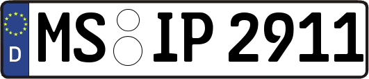 MS-IP2911