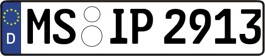 MS-IP2913