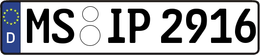 MS-IP2916