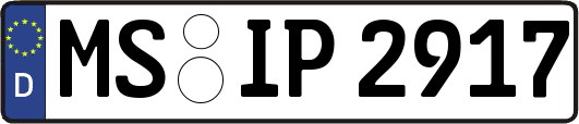 MS-IP2917