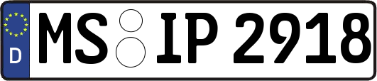 MS-IP2918