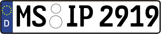 MS-IP2919
