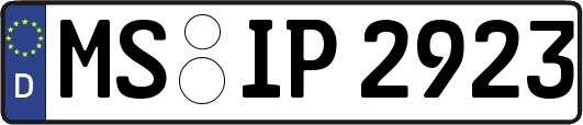 MS-IP2923