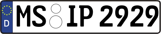 MS-IP2929