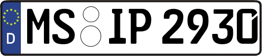 MS-IP2930