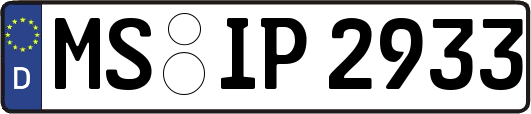 MS-IP2933