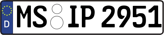 MS-IP2951