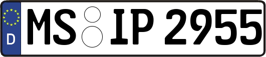 MS-IP2955