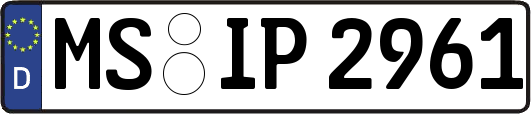 MS-IP2961