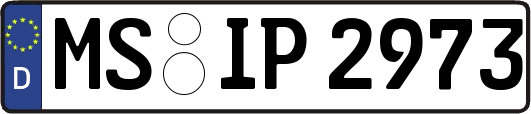 MS-IP2973