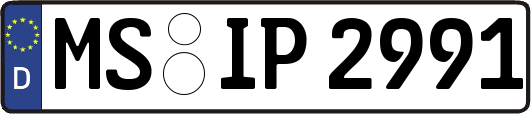 MS-IP2991