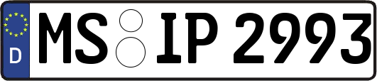 MS-IP2993