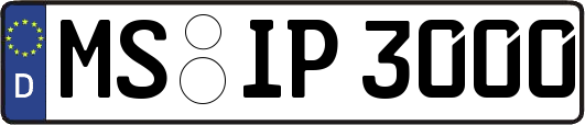 MS-IP3000
