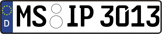 MS-IP3013