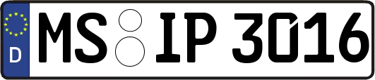 MS-IP3016