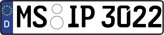 MS-IP3022