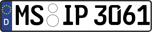 MS-IP3061