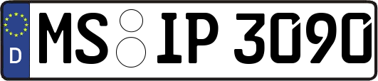 MS-IP3090