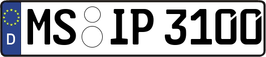 MS-IP3100