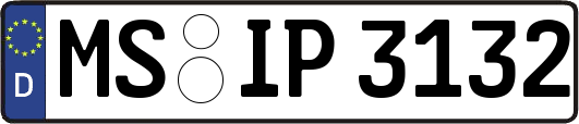 MS-IP3132