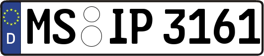 MS-IP3161