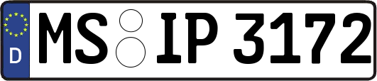 MS-IP3172
