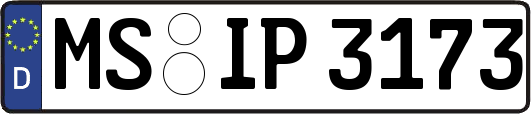 MS-IP3173