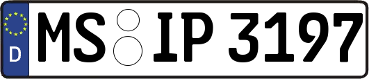 MS-IP3197