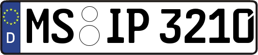 MS-IP3210
