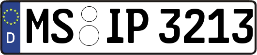 MS-IP3213