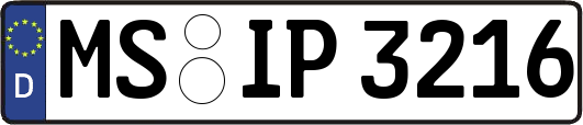 MS-IP3216