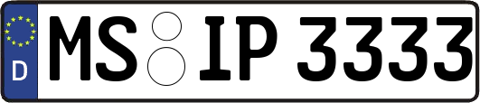MS-IP3333