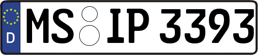MS-IP3393