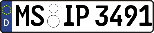 MS-IP3491