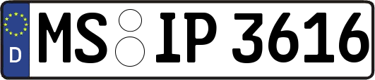 MS-IP3616