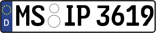 MS-IP3619