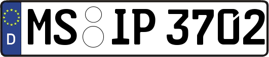 MS-IP3702