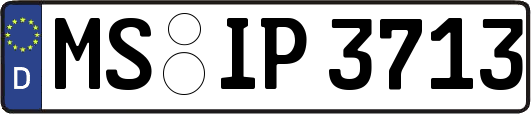 MS-IP3713