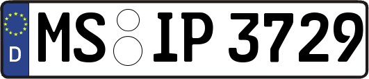 MS-IP3729