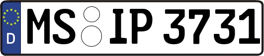MS-IP3731