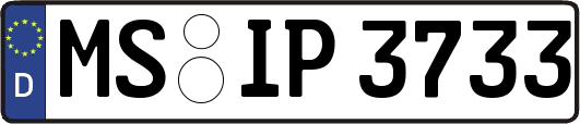 MS-IP3733