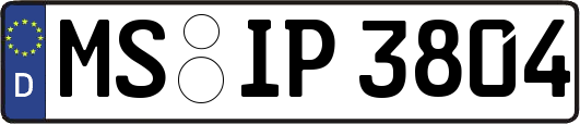 MS-IP3804