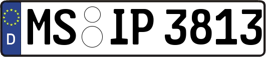 MS-IP3813